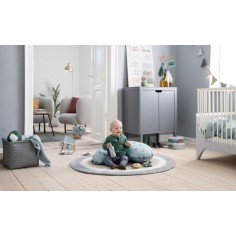 Sebra Poster Little Driver