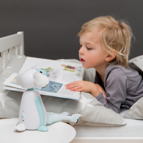 Leseleuchte und Nachtlicht Fin