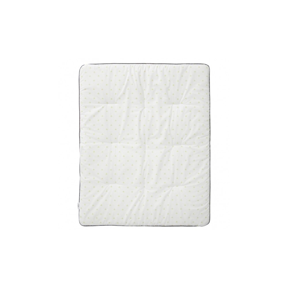 Fresk Insert de papier au plafond |