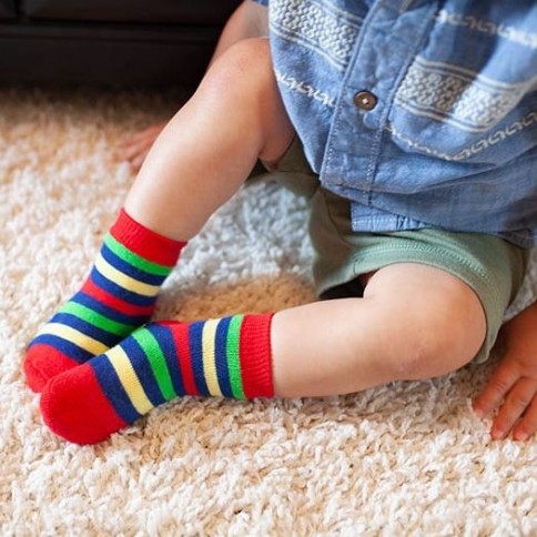 Zoocchini 3er Pack Söckchen, Devin der Dinosaurier