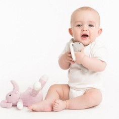 natureZOO Bio Rassel, Graues Kaninchen