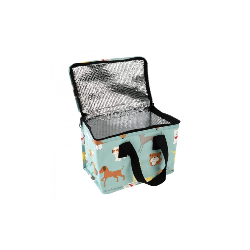 Frozen (Eiskönigin) Isolierte Lunchbox – 3-teiliges Set Mit Sandwich-Dose, Flasche & Tragetasche