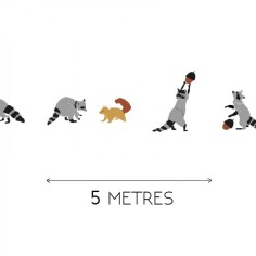 MIMIlou Wandsticker Bordüre 5 m, Waschbär