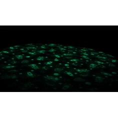 Spielzeugtasche, Space Glow in the Dark