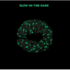 Spielzeugtasche, Space Glow in the Dark