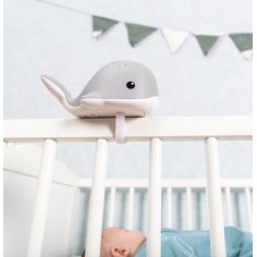 Wally du projecteur étoile de la baleine avec des sons apaisants