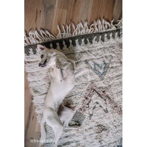 Teppich Woolable Tuba