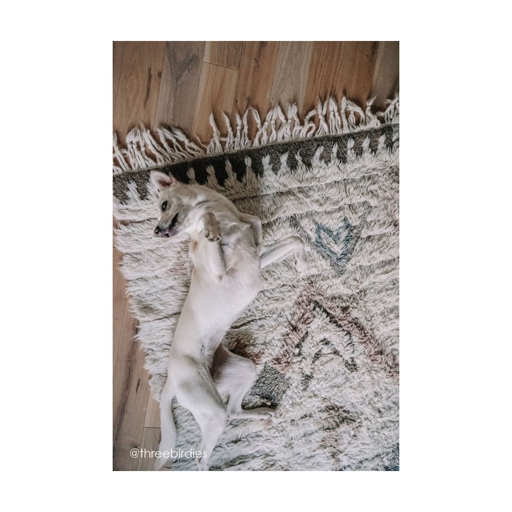 Teppich Woolable Tuba