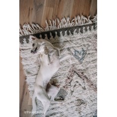 Teppich Woolable Tuba