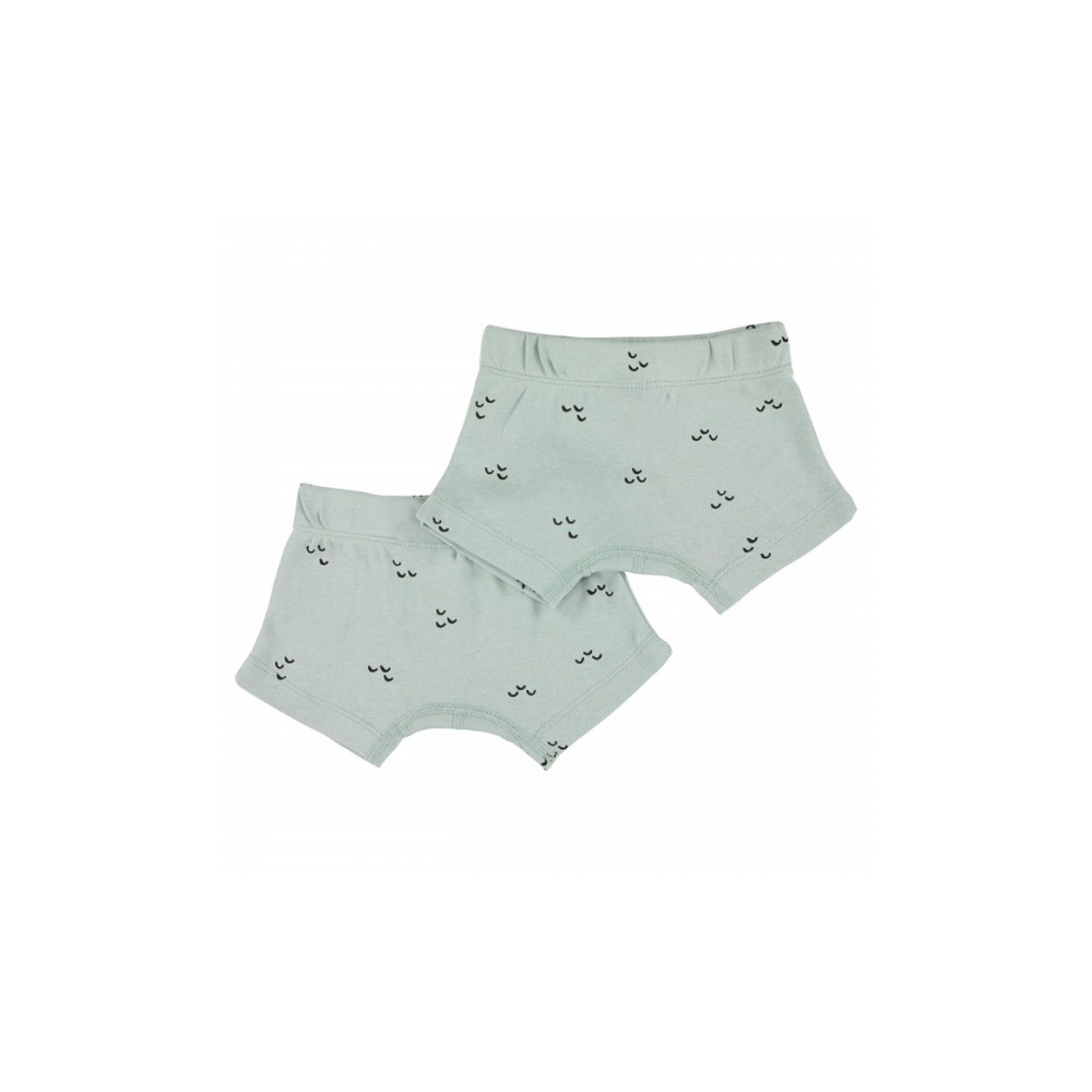 Trixie Boxershorts (2er-Pack), Mountains, 2 Jahre
