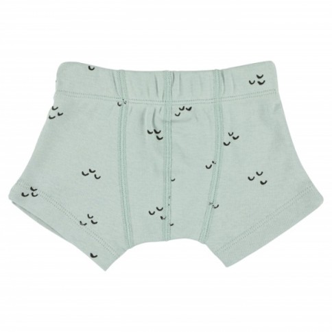 Trixie Boxershorts (2er-Pack), Mountains, 2 Jahre