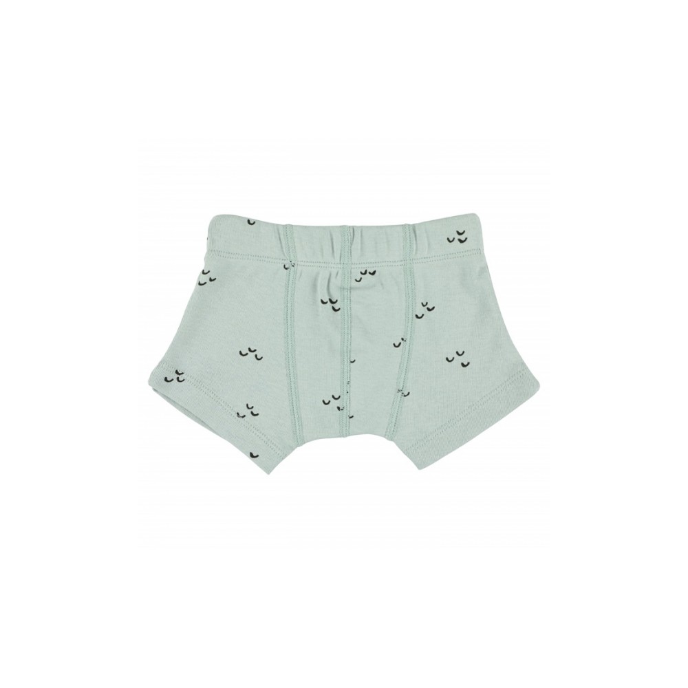 Trixie Boxershorts (2er-Pack), Mountains, 2 Jahre