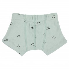 Trixie Boxershorts (2er-Pack), Mountains, 2 Jahre