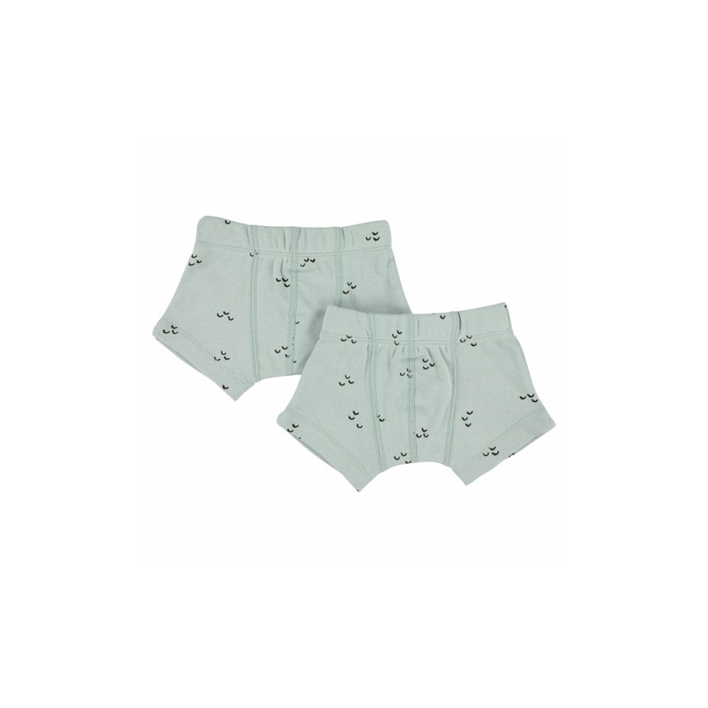 Trixie Boxershorts (2er-Pack), Mountains, 2 Jahre