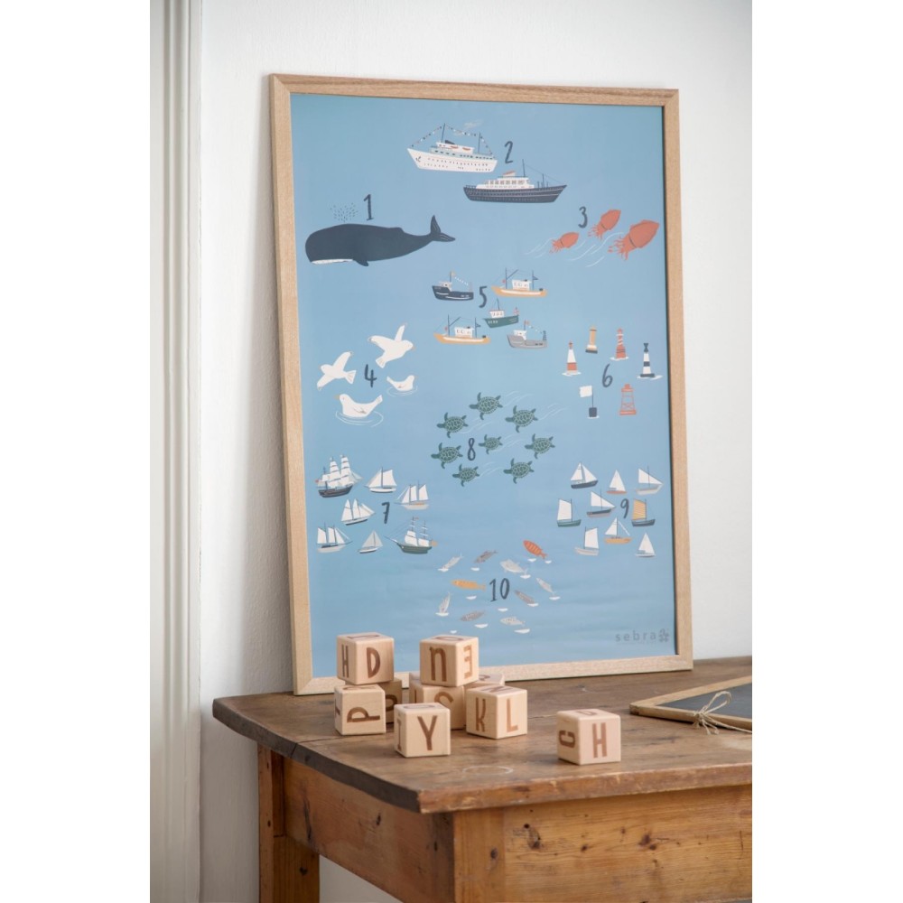 Sebra Poster, Seven Seas