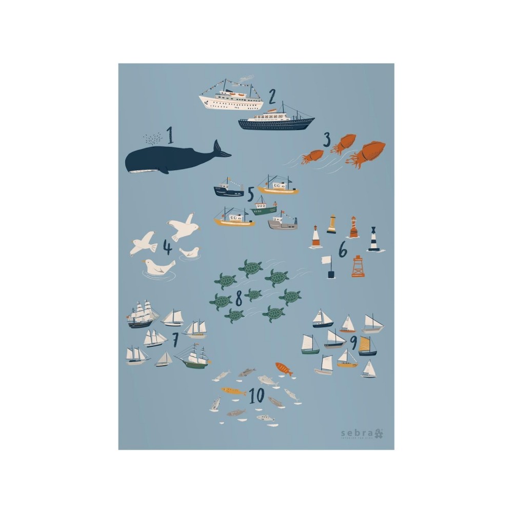 Sebra Poster, Seven Seas