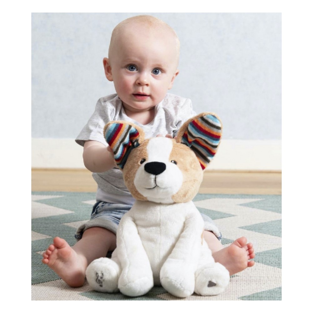 Cuddly Toinian Danny le chien