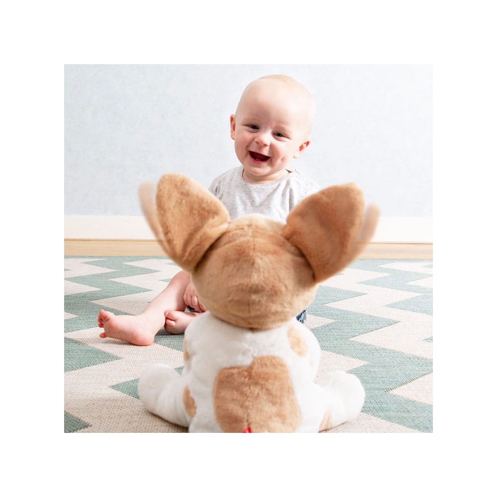 Cuddly Toinian Danny le chien