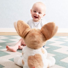 Kuscheltier Danny der Hund