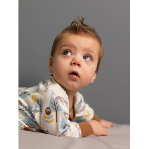 Fresk Babypyjama Bio-Baumwolle, mit Füsschen, Blaue Füchse