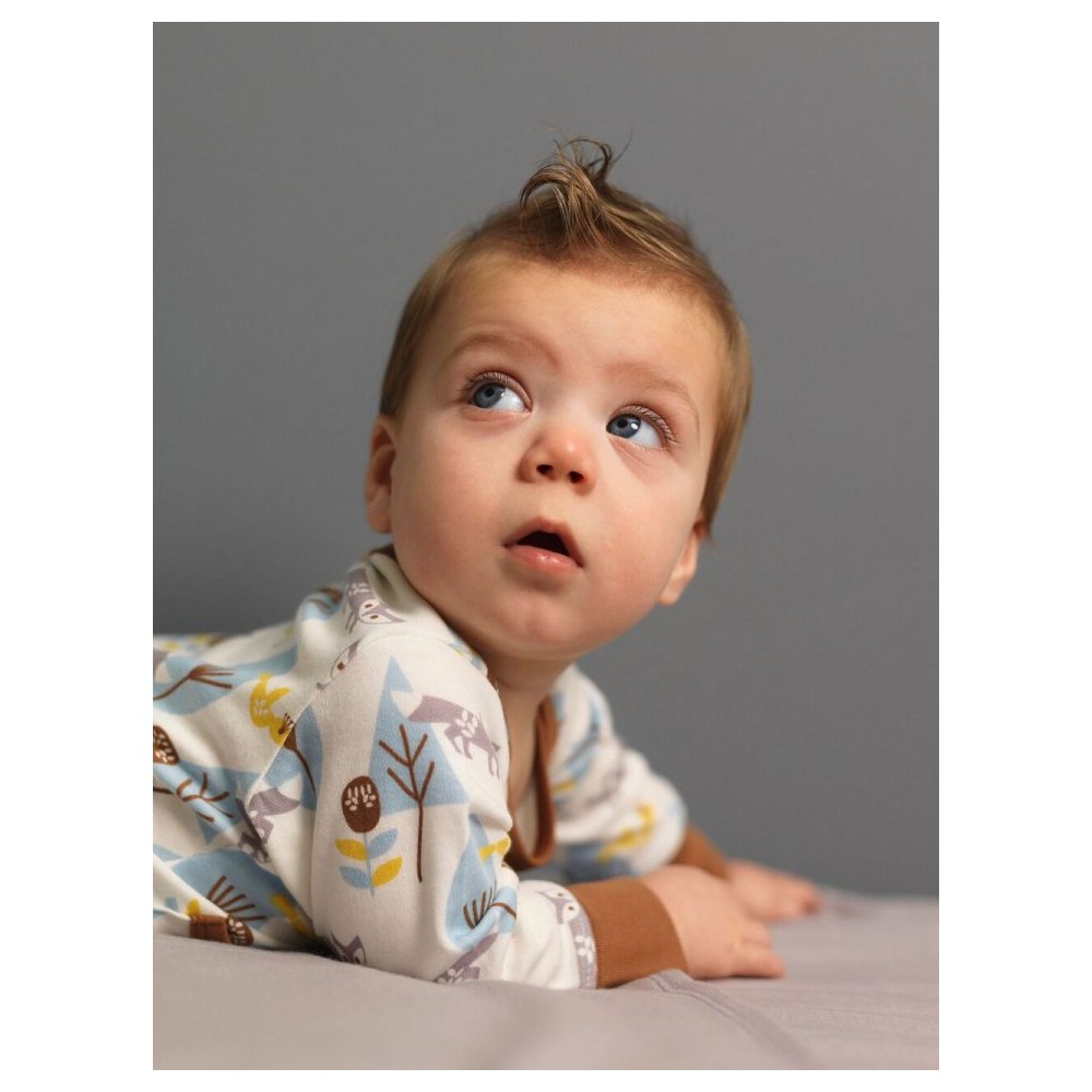 Fresk Babypyjama Bio-Baumwolle, mit Füsschen, Blaue Füchse