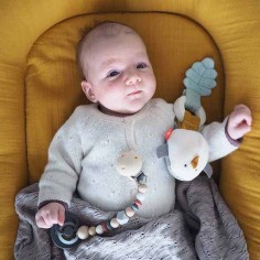 Beissring mit Rassel, Forest Friends