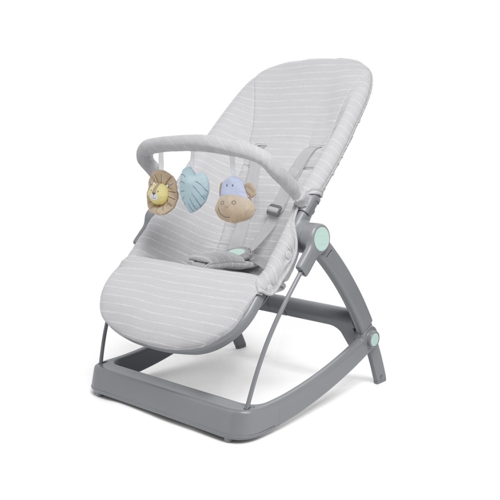 Baby Bouncer 3-in-1