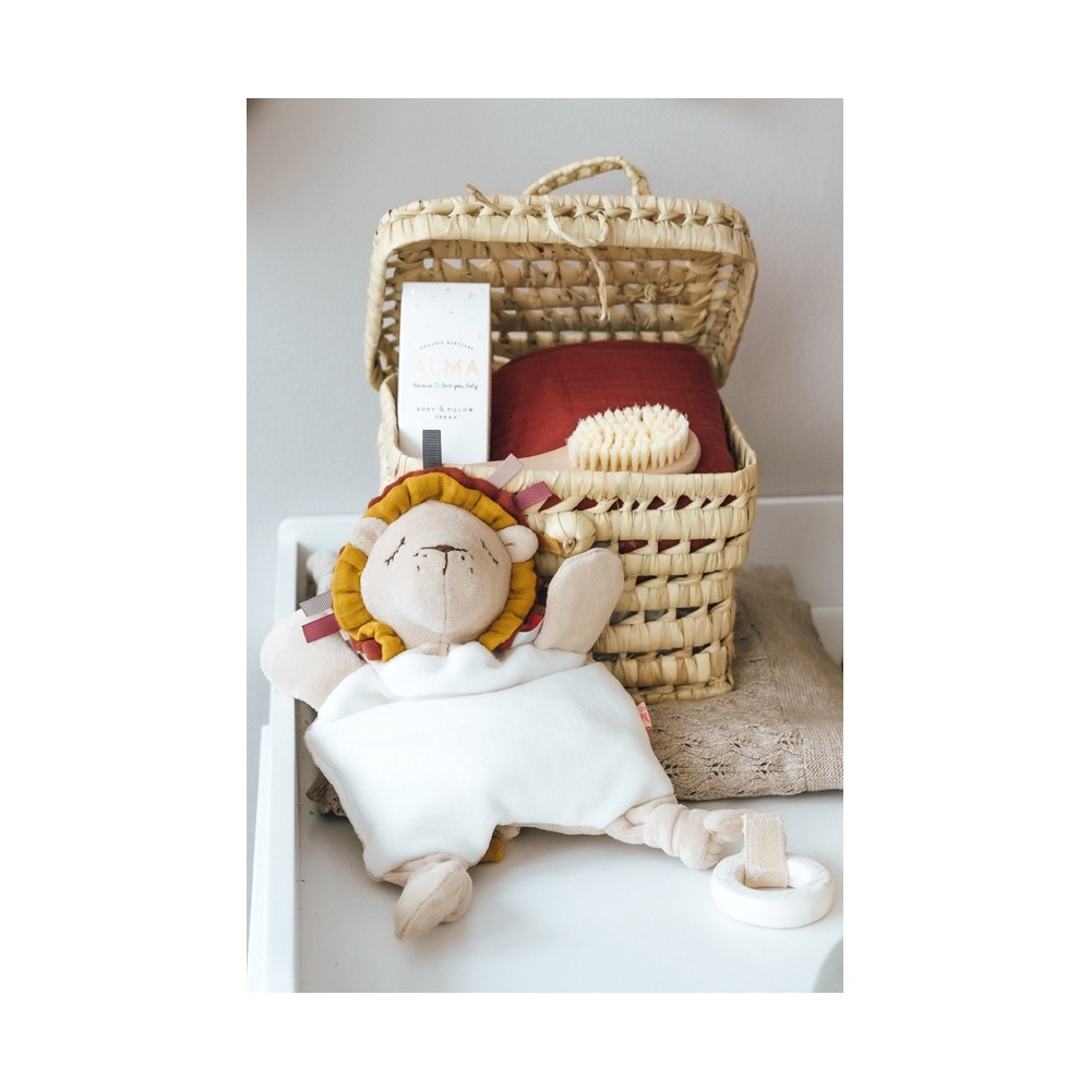 Aktivitätsspielzeug Löwe