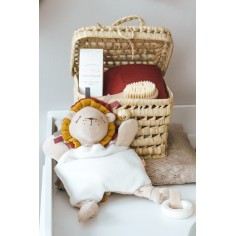 Aktivitätsspielzeug Löwe