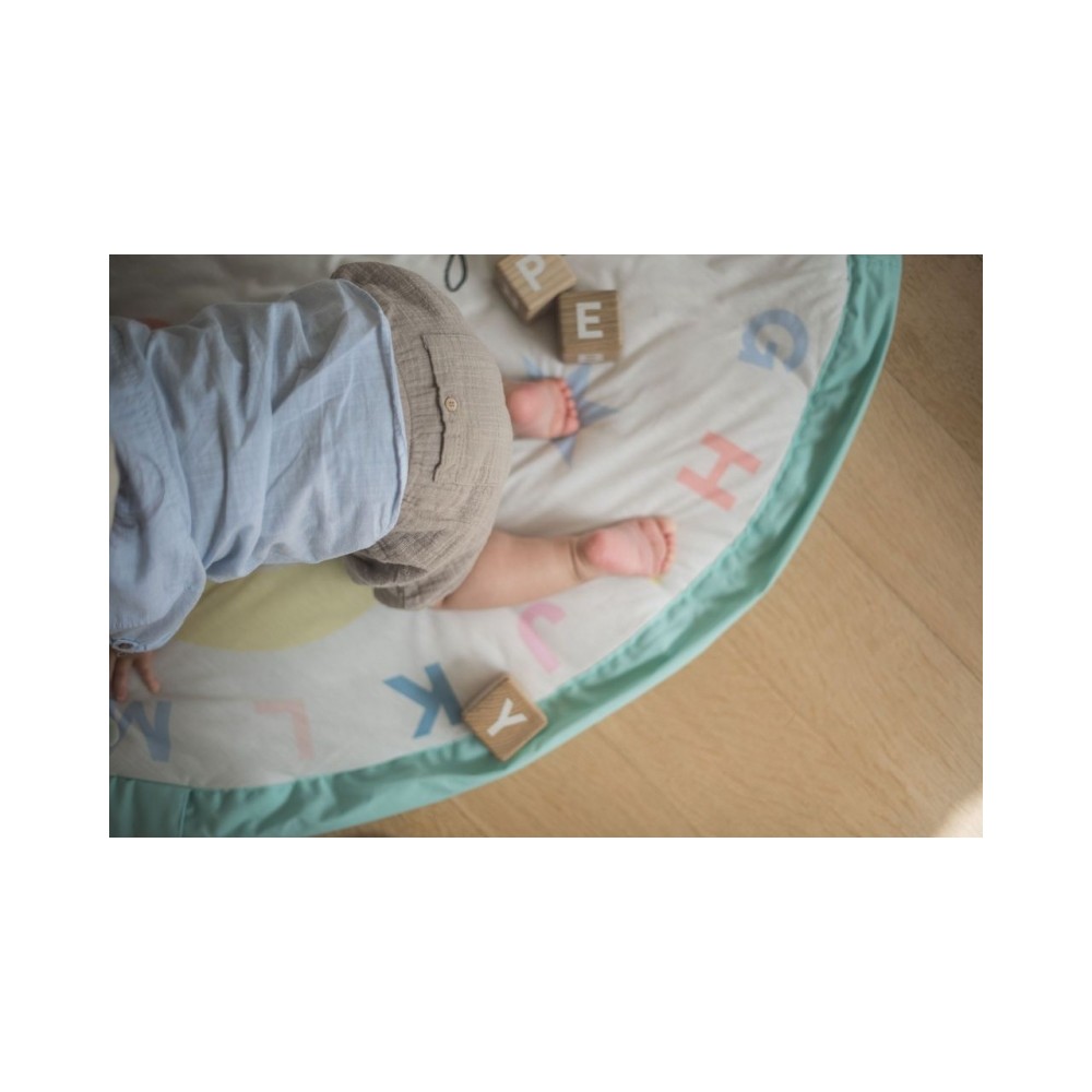 Play&Go Spielzeugtasche, Dino