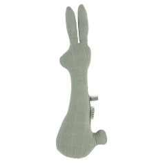 Rassel Kaninchen, Bliss Olive