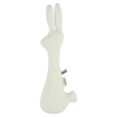 Rassel Kaninchen, Bliss White