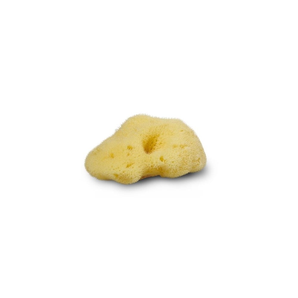 Cocoon Seidenschwamm 4-5 cm