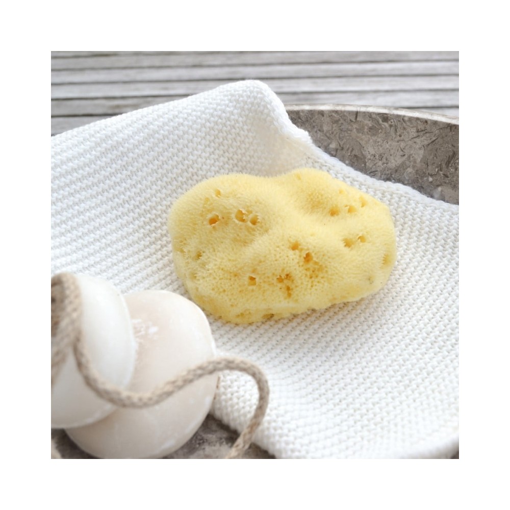 Cocoon Seidenschwamm 7-8 cm