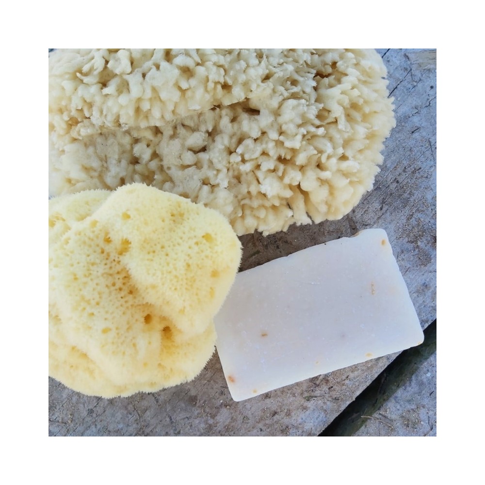 Cocoon Seidenschwamm 10-11cm