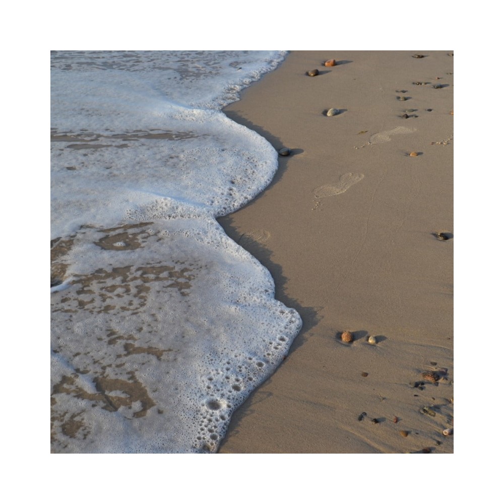 Cocoon Seidenschwamm 10-11cm