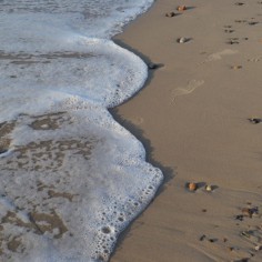 Cocoon Seidenschwamm 10-11cm