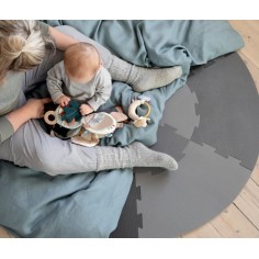 Sebra Aktivitätsspielzeug-Ring, Regenbogen/ Bliss