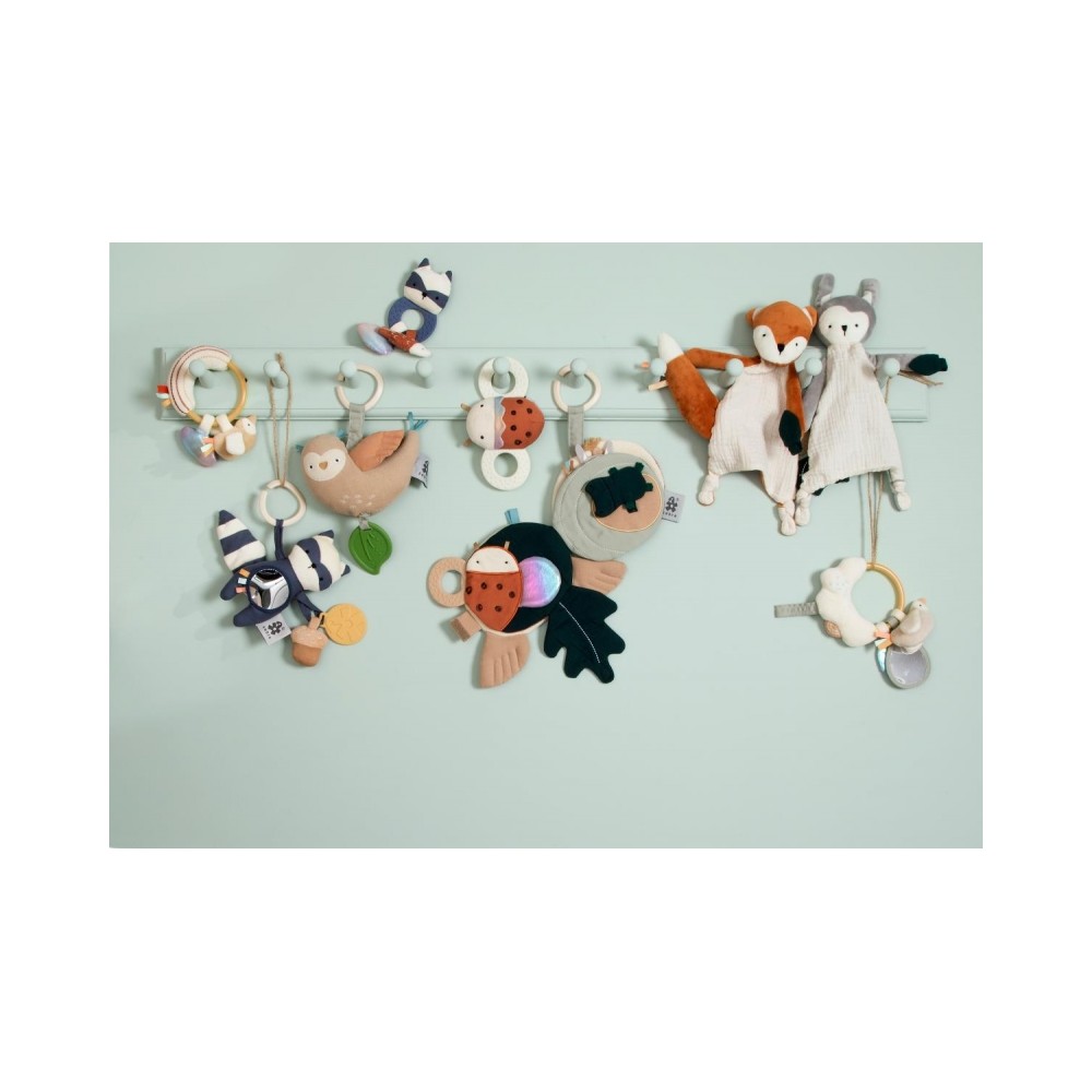 Sebra Aktivitätsspielzeug-Ring, Regenbogen/ Bliss