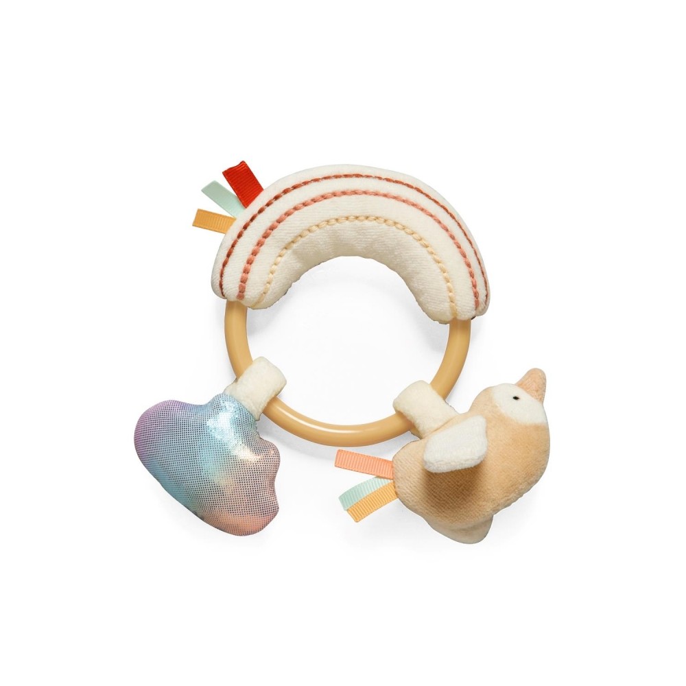 Sebra Aktivitätsspielzeug-Ring, Regenbogen/ Bliss