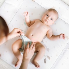 Softy Wickelauflage, Folie Koalas