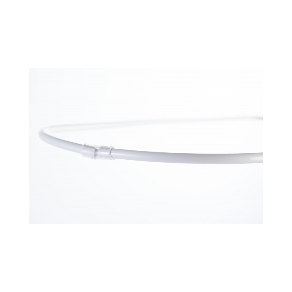 Julius Zöllner Himmelhalter, Standard, Weiß