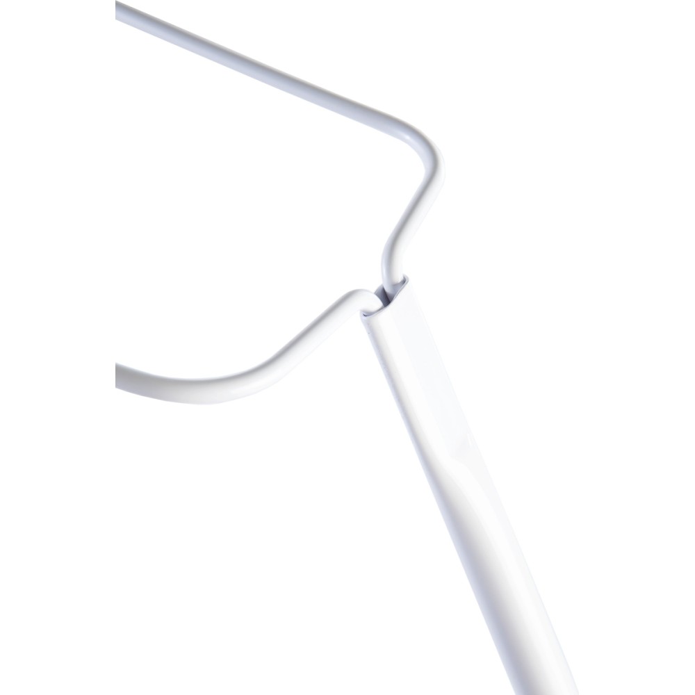 Julius Zöllner Himmelhalter, Standard, Weiß