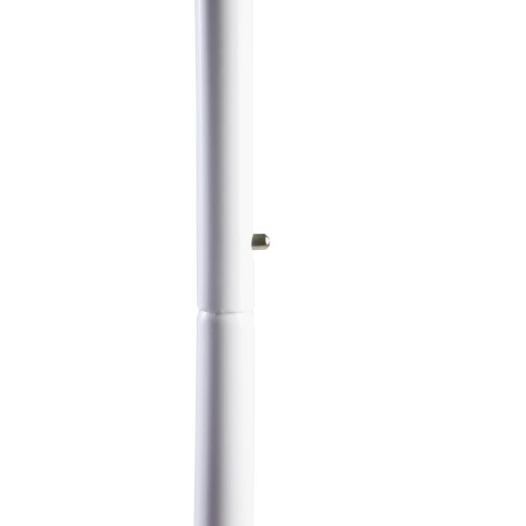 Julius Zöllner Himmelhalter, Standard, Weiß