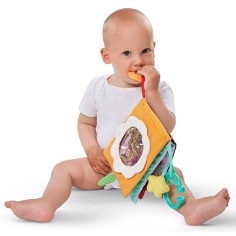 Sophie La Girafe - Mein erstes Fotoalbum