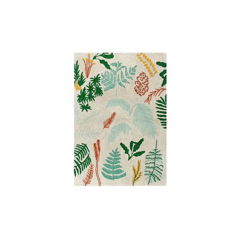 Plantes botaniques de tapis