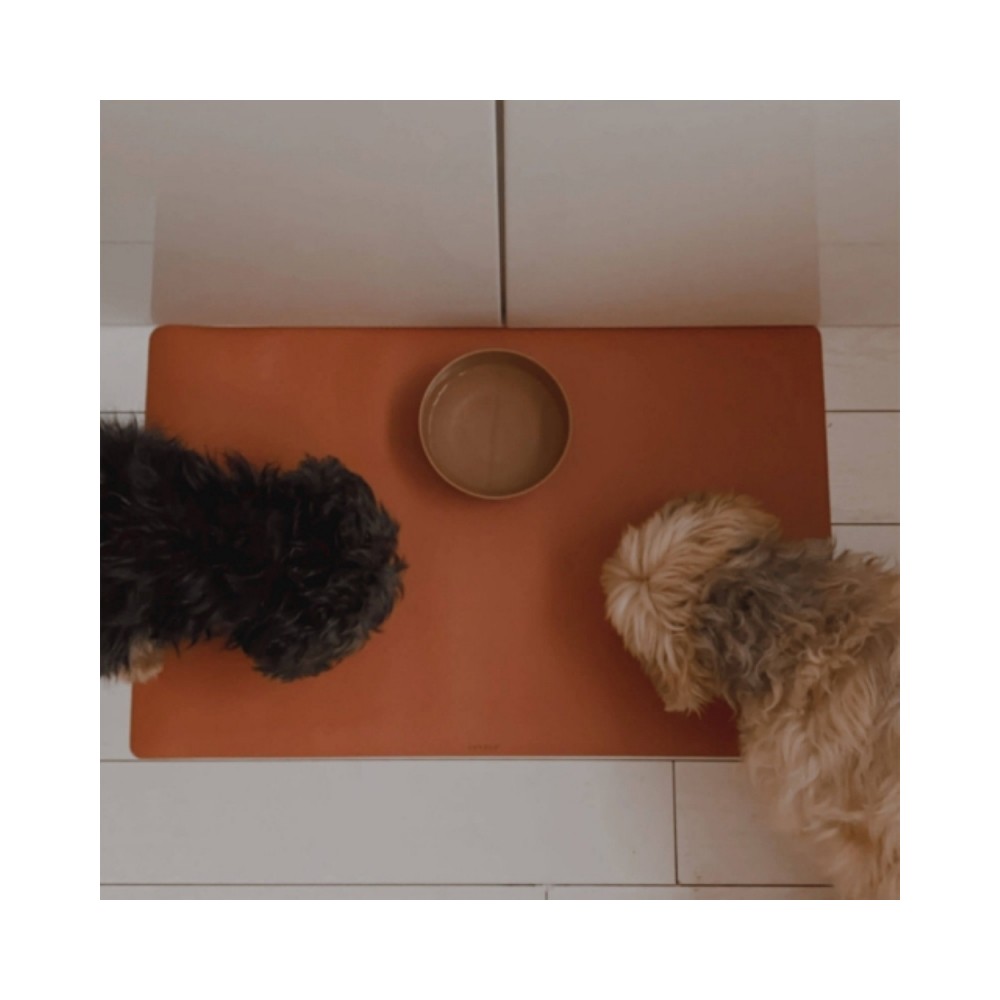 Schreibtischmatte, Rost