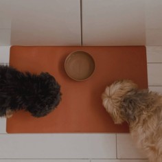 Schreibtischmatte, Rost