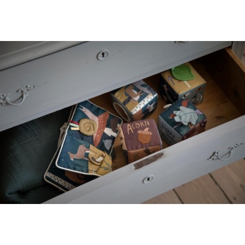 Sebra Aktivitätsbuch, Dragon Tales