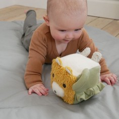 Sebra Spielwürfel, Wildlife Animals